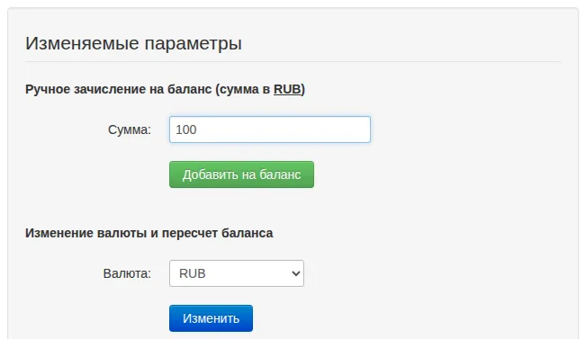 Форма ручного пополнения на 100 RUB после проверки назначенной компании